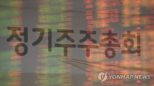 정기주주총회 이미지. 연합뉴스 제공.